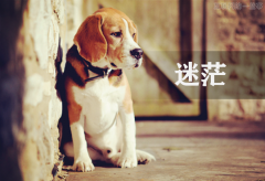在看不到意義的時候?qū)で笕松囊饬x 在看不到意義的時候?qū)で笕松囊饬x