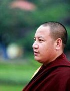 丹增志美仁波切禪語(yǔ)50句 丹增志美仁波切禪語(yǔ)50句