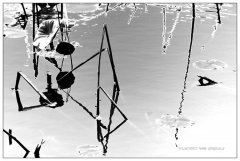 秋風(fēng)冷,秋雨涼的傷感句子 秋風(fēng)冷,秋雨涼的傷感句子