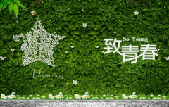 關于青春優(yōu)美的句子