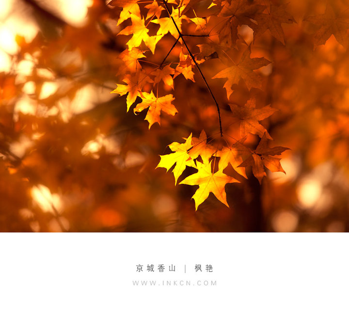 秋風(fēng)祝福語 秋風(fēng)祝福語
