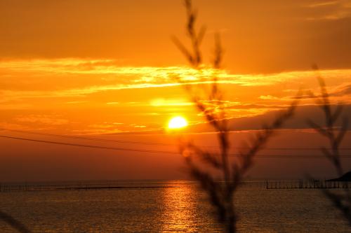 描寫(xiě)夕陽(yáng)的詩(shī)句 描寫(xiě)夕陽(yáng)的詩(shī)句