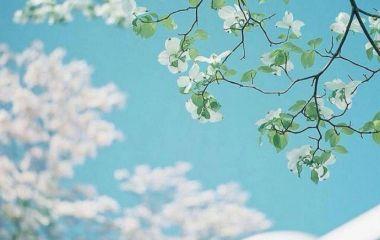 愿兒子天天開心的句子 愿兒子像男子漢一樣成長(zhǎng)