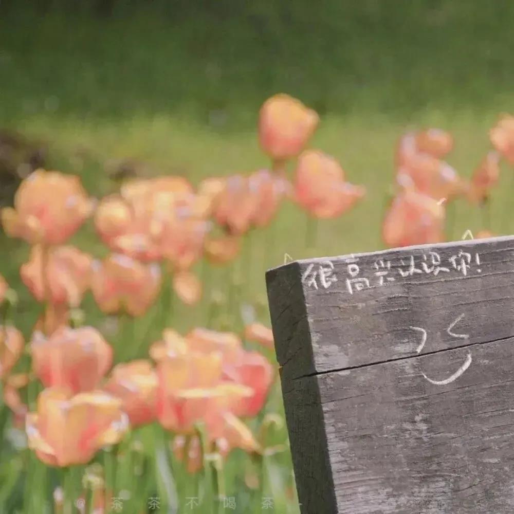 朋友圈精辟語(yǔ)錄唯美句子