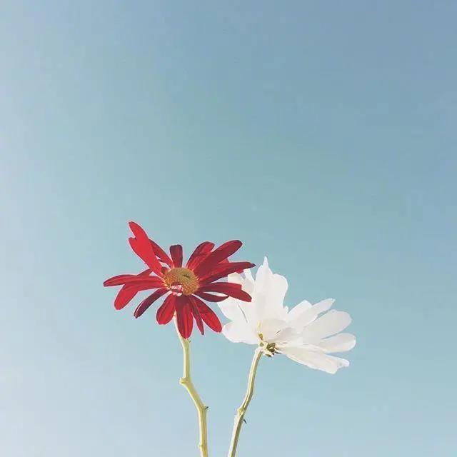 孔明燈愿望語(yǔ) 孔明燈愿望語(yǔ)