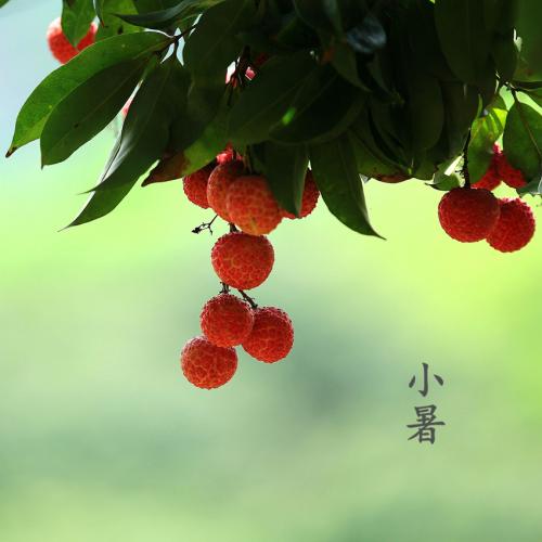 小暑時令節(jié)日問候客戶短信 小暑時令節(jié)日問候客戶短信