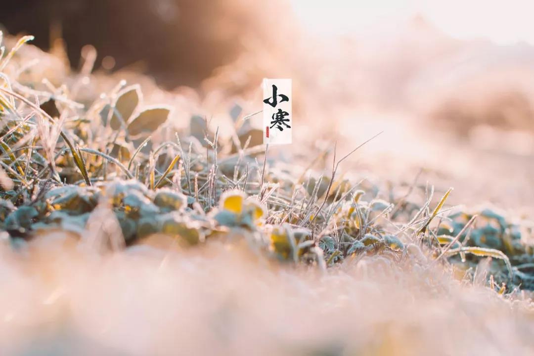 關(guān)于小寒最著名的古詩