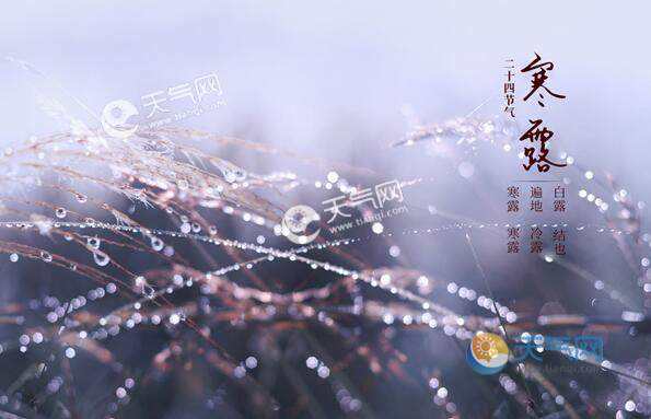 寒露的祝福語(yǔ) 圖片 寒露的祝福語(yǔ) 圖片