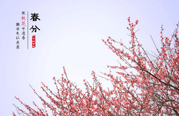 關(guān)于春分節(jié)氣的古詩(shī)