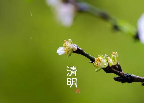 清明節(jié)回家上墳的心情說說 清明節(jié)回家上墳的心情說說