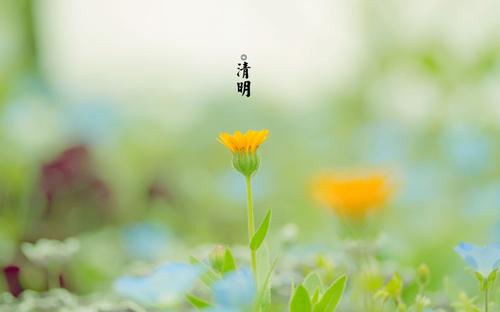 清明節(jié)說說圖片大全 清明節(jié)說說圖片大全