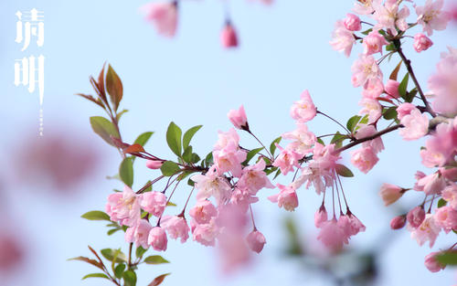 清明節(jié)快樂的說說短句 清明節(jié)快樂的說說短句