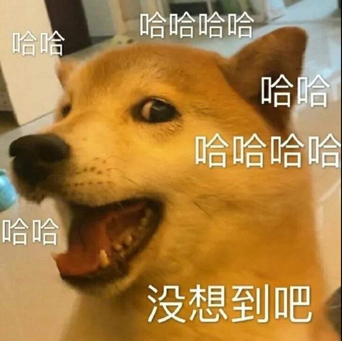 王思聰蔥油餅之土味情話(huà) 超級(jí)油膩的土味情話(huà) 王思聰蔥油餅之土味情話(huà) 超級(jí)油膩的土味情話(huà)