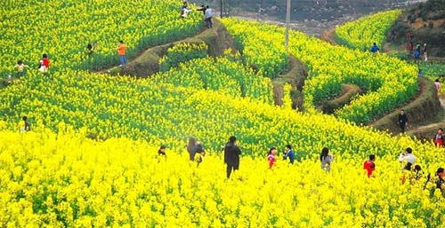 踏青的詩(shī)句精選(10首) 踏青的詩(shī)句精選(10首)